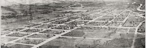 Albury panorama, 1881