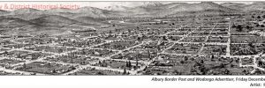 Albury panorama, 1888