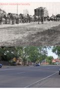 Horse teams in Young St albury