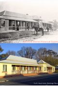 Turks Head Albury