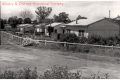 Walnut shells houses, Alma St Albury
