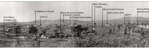 Albury Panorama 1879