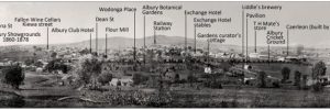 Albury Panorama c1882
