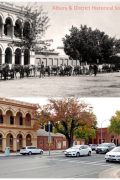 43. Albury Telegraph office & bullock team