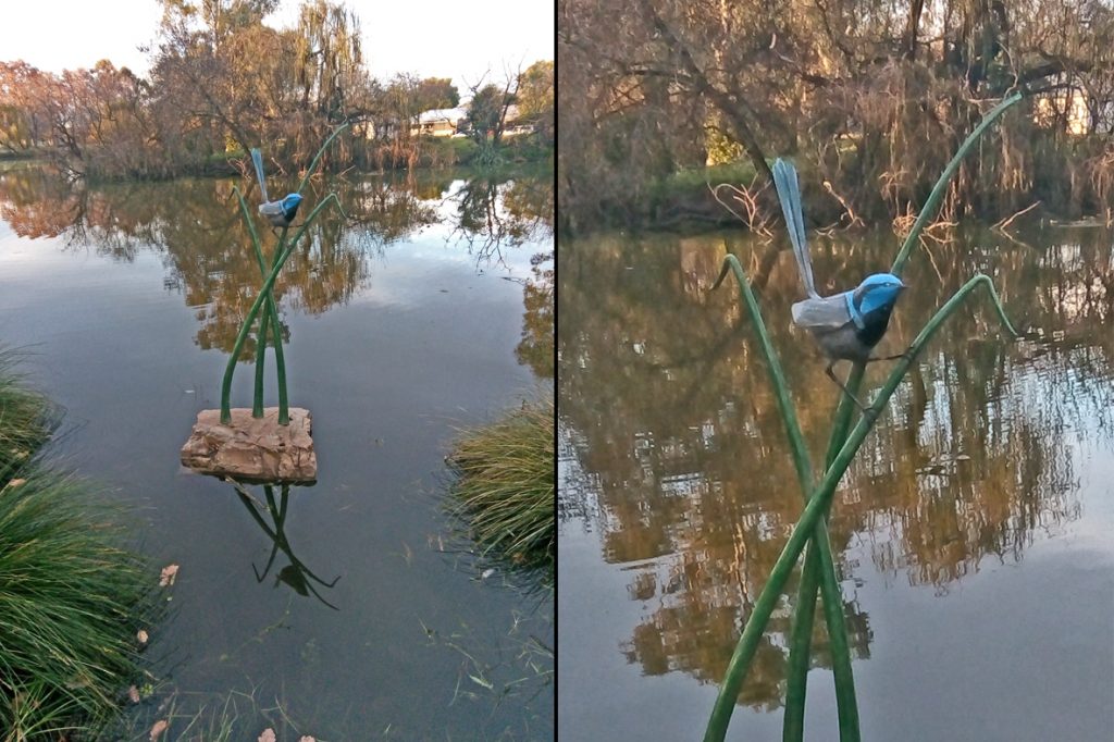 Fairy Wren Browns Lagoon South Albury, artist John Wood