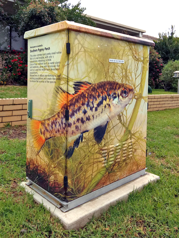 Perch Schubach St Albury