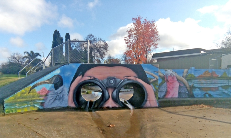 Waites Park South Albury_Kade Sarte