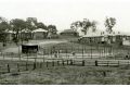 Amatex st from Schubach St Albury