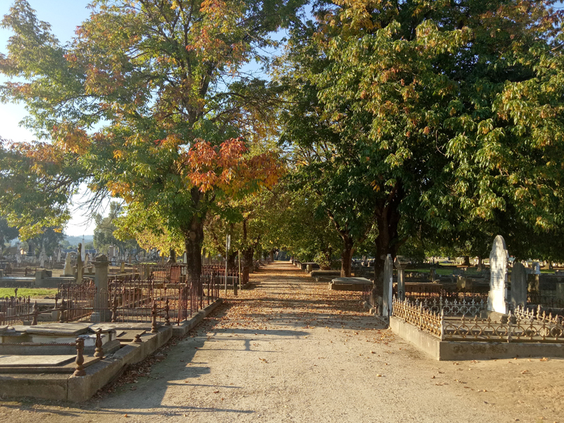 Albury Pioneer cemetery walk 2021#1