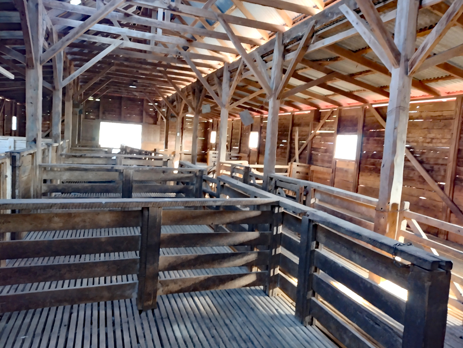 Savernake Woolshed02