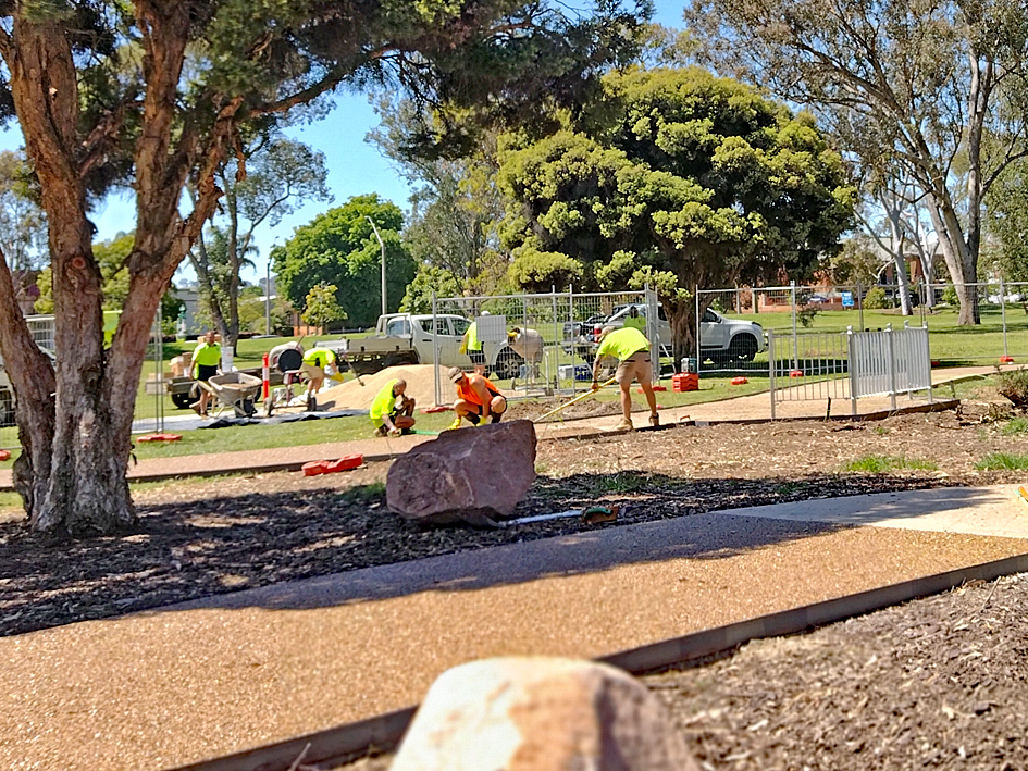 Hovell Tree Upgrade05