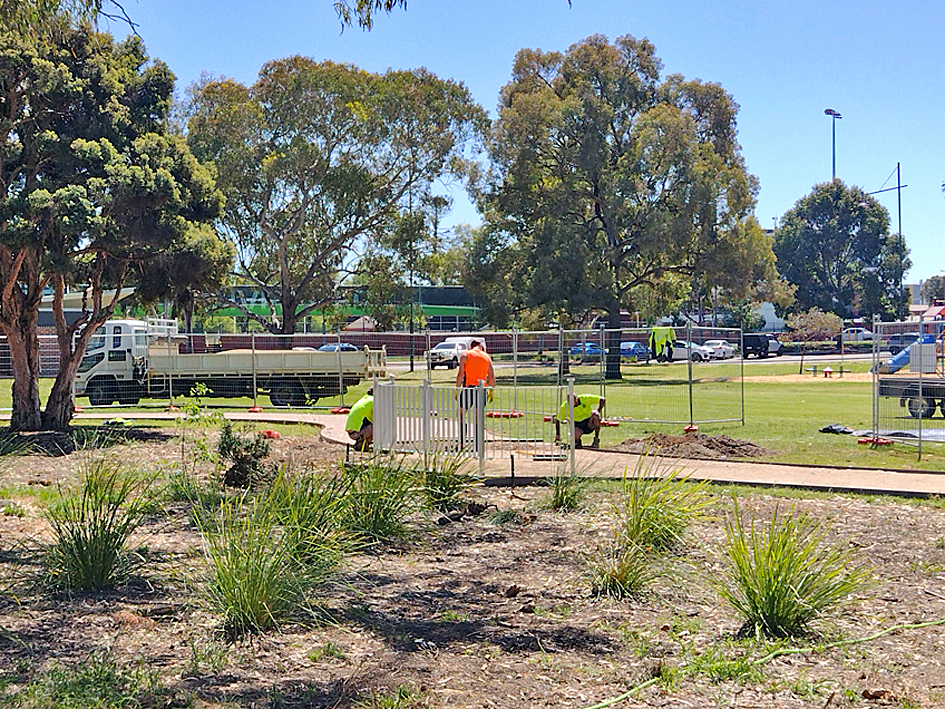 Hovell Tree Upgrade07