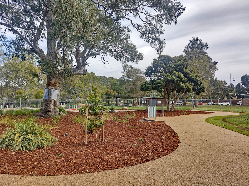 Hovell Tree Upgrade09