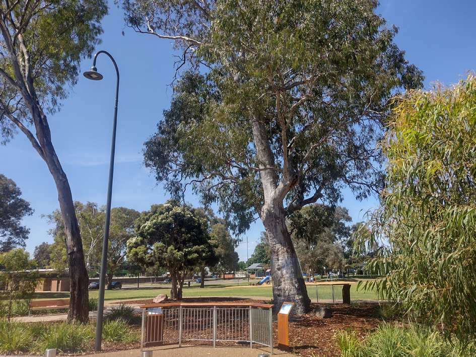 Hovell Tree Upgrade10
