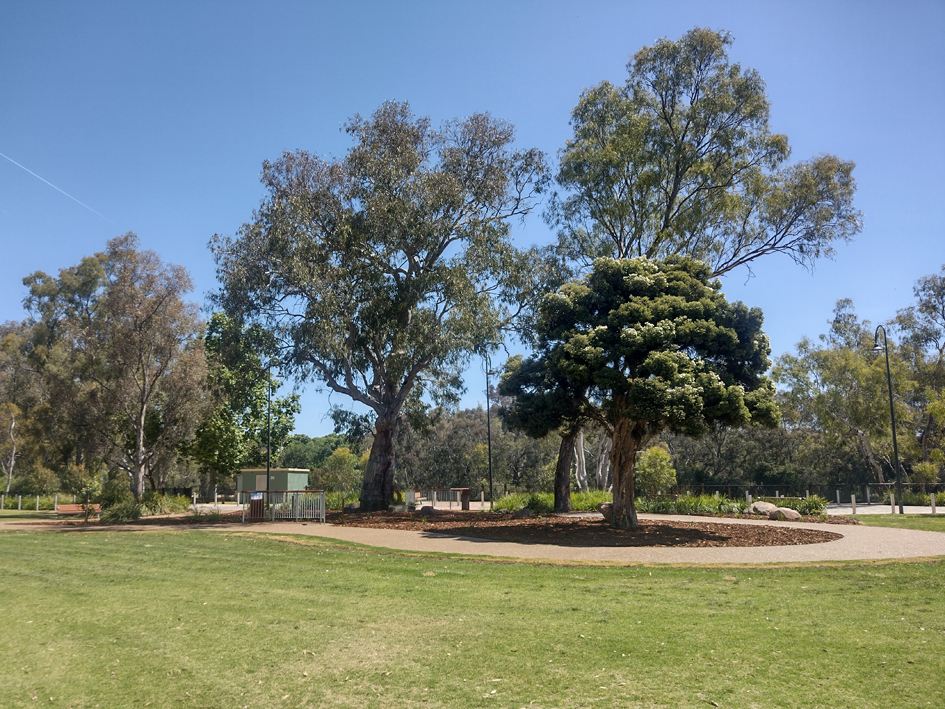 Hovell Tree Upgrade12