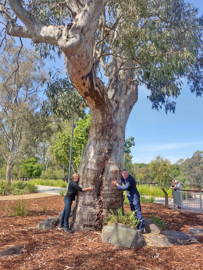 Hovell Tree signage unveiled02